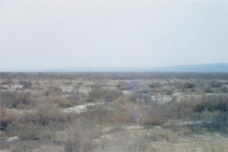 091686298808556160.png 1.1.png