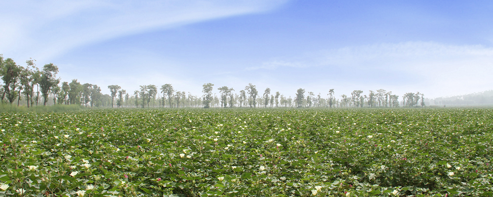 091686298847355952.png 1.png